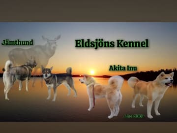 Eldsjöns Kennel