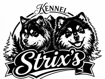 Strix's