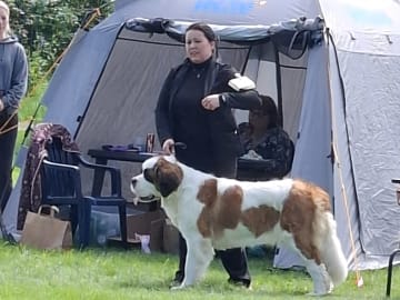 Fredsduvan's Kennel