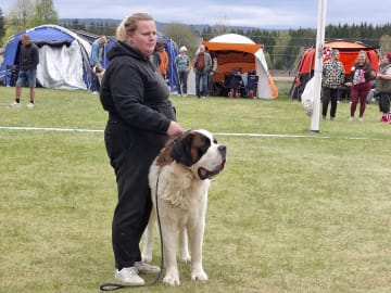 Fredsduvan's Kennel