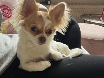 Mindy