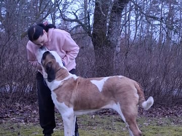 Fredsduvan's Kennel