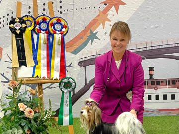 Biewer terrier · Märsta · Nasherhaus