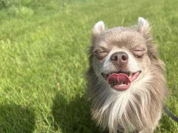 Milo