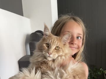 Maine Coon · Helgeroa · Rebecca A.
