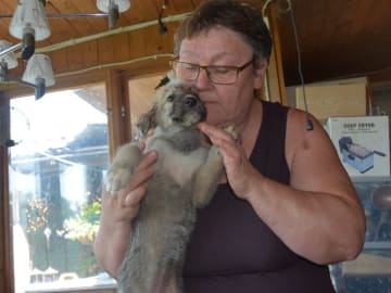 Irsk ulvehund · Stora Levene · Åkerö's