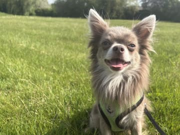 Milo