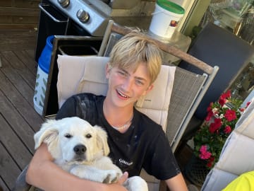 Golden retriever · Tjällmo · Ekbergarn’s  kennel