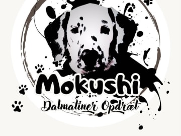 Dalmatian · Snedsted · Mokushi's