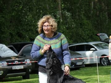 Hovawart · Bevtoft · Hovi Skuld of Joy