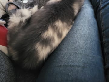 My Sweet Monster
