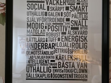 Affenpinscher · Säter · Sweolans