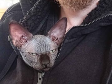 Sphynx · Grums · Eric H.