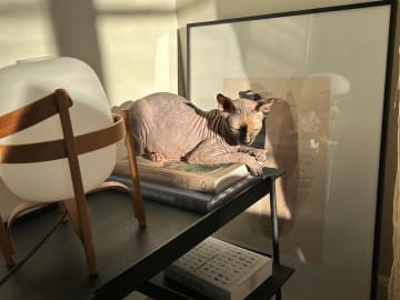 Sphynx · Solna · Kattis B.