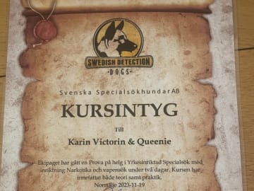 Labrador retriever · Vagnhärad · Unbridled Unicorn