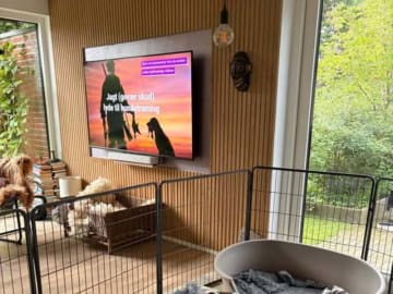 German Shorthaired Pointer (Vorsteh) · Karup J · Rivus