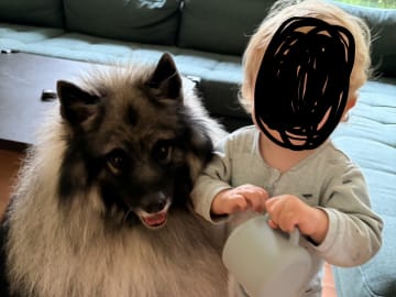 Keeshond · Nordborg · Caroline P.