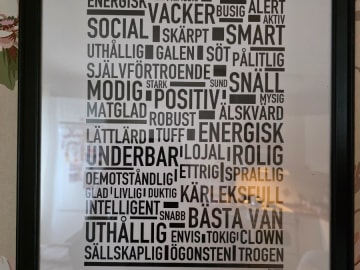 Affenpinscher · Säter · Sweolans