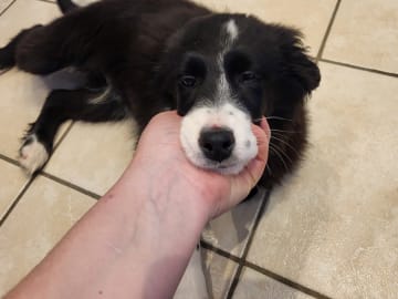My Sweet Monster