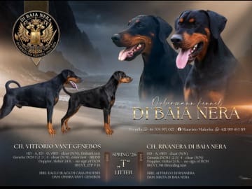 Di Baia Nera