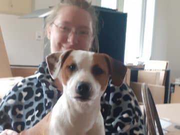 Dansk-svensk gårdshund/Staffordshire bullterrier · Lerdala · Kampavall
