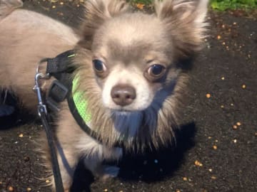 Milo