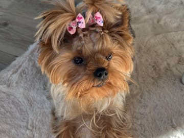 Mamma: Mila