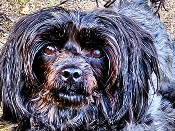 Mor: BELLA