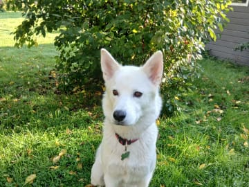 Mor: Dakota