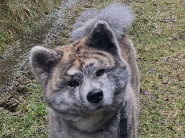 Fuyuko Kensha