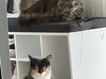 Mamma: Sally