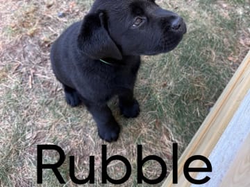 rubble
