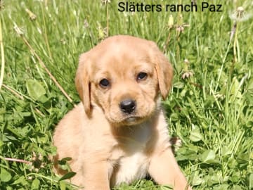 Slätters Ranch