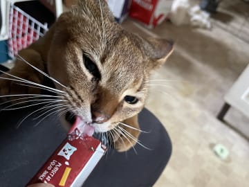 Mira
