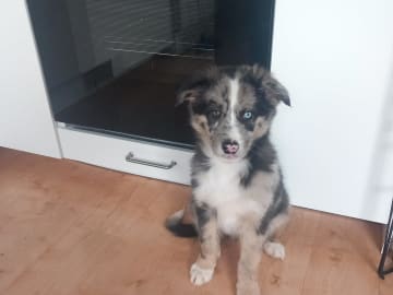 My Sweet Monster