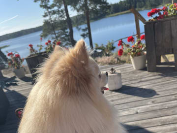 Mor: Molly