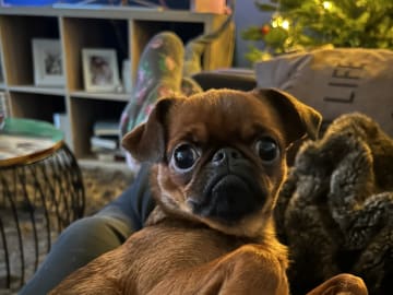 Mamma: Ester