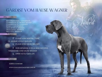 Pappa: Gardist vom Hause Wagner