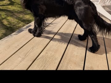 Far: Rummeltorps Oppfinnar-Jocke
