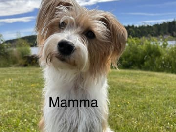 Mor: Yackie