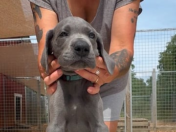 Fiona