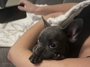 Nala