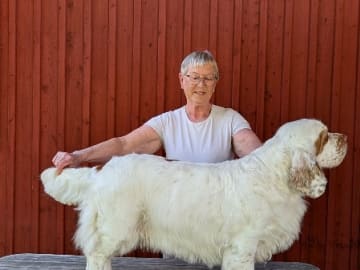 Mamma: CLUROTTS CREAM ALE