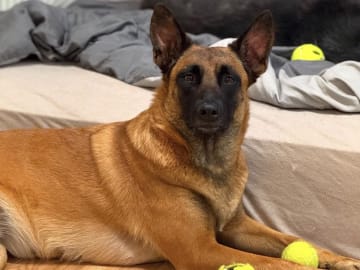 Mamma: Tila