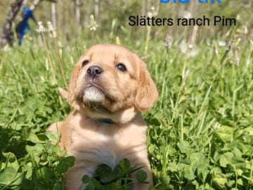 Slätters Ranch
