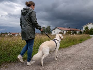 Slik hjelper du en hund som er redd for torden