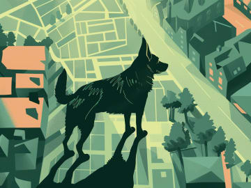 Hundmarknaden 2025: färre köp, högre krav och en marknad i förändring