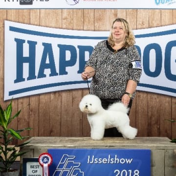 White vision's kennel