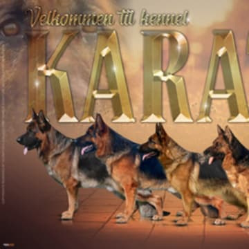 Karat's