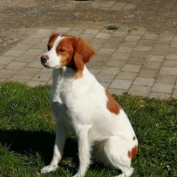 Jørlundes